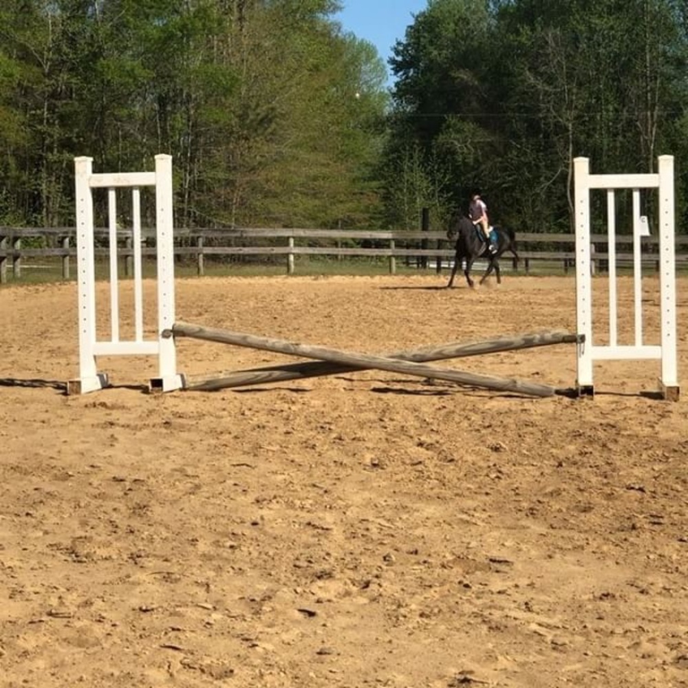 ISO horse tack